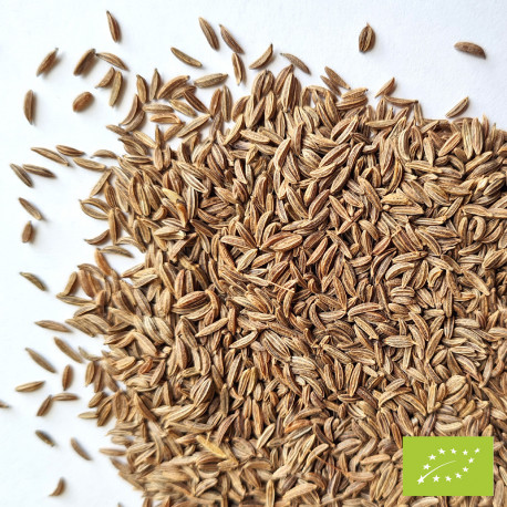 Graines de cumin bio – Oasi delle Spezie