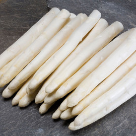 Asperge Prima