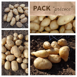 Pack "précoce" : les pommes de terre précoces