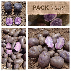 Pack "violet" : les pommes de terre violettes très foncées
