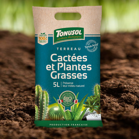 Terreau cactées et plantes grasses