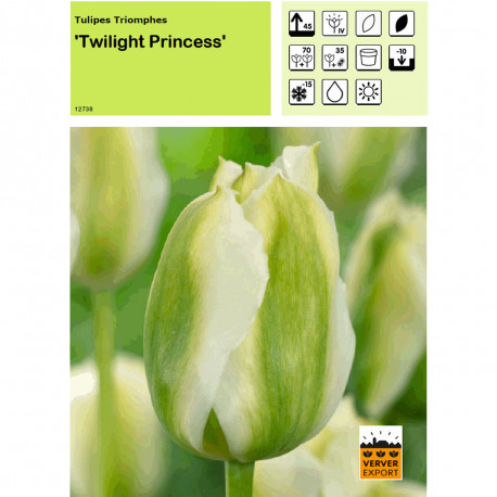 Tulipe Twilight Princess