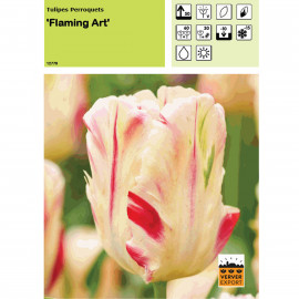 Tulipe Flaming Art