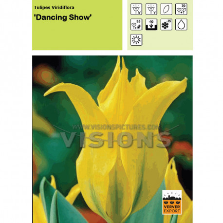 Tulipe Dancing Show