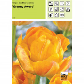 Tulipe Granny Award