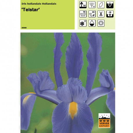 Iris Telstar