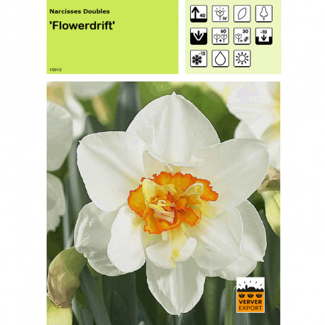 Narcisse Flowerdrift